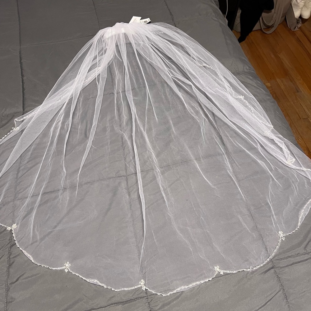 David's Bridal White Veil with Silver Accents